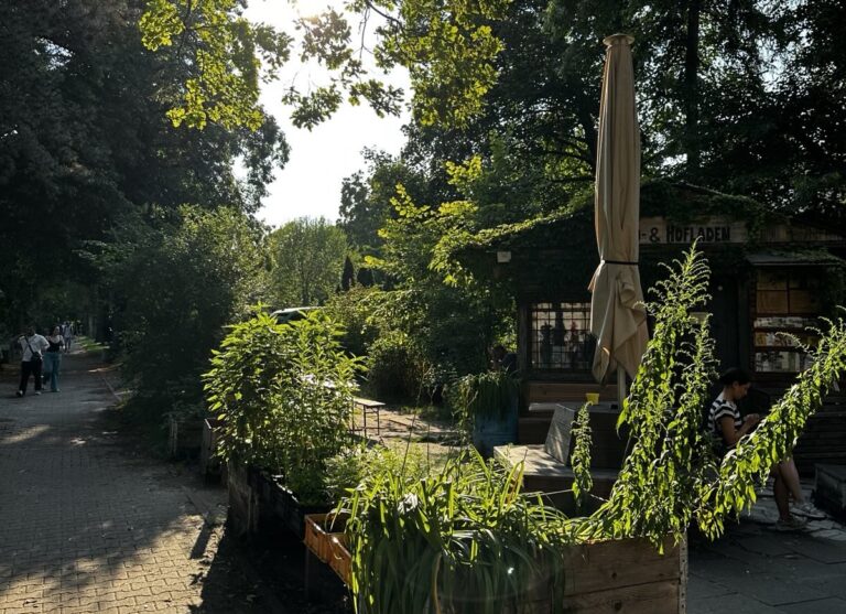 10 grüne Oasen in Neukölln – so kommt ihr durch die Hitze