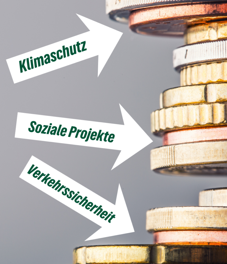 EIN HAUSHALT OHNE HERZ UND VERSTAND